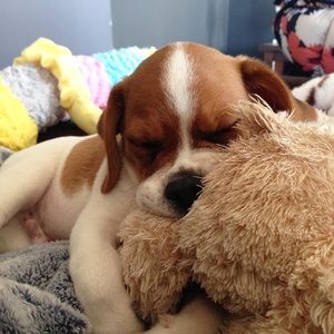 Meet your Posher, Denise